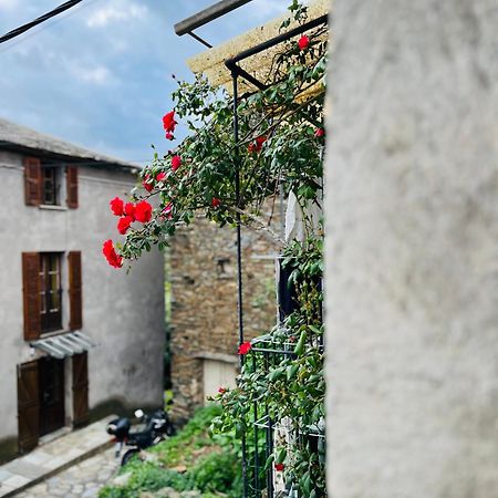 Tres Jolie Maison Aux Portes Du Cap Corse Sisco ภายนอก รูปภาพ