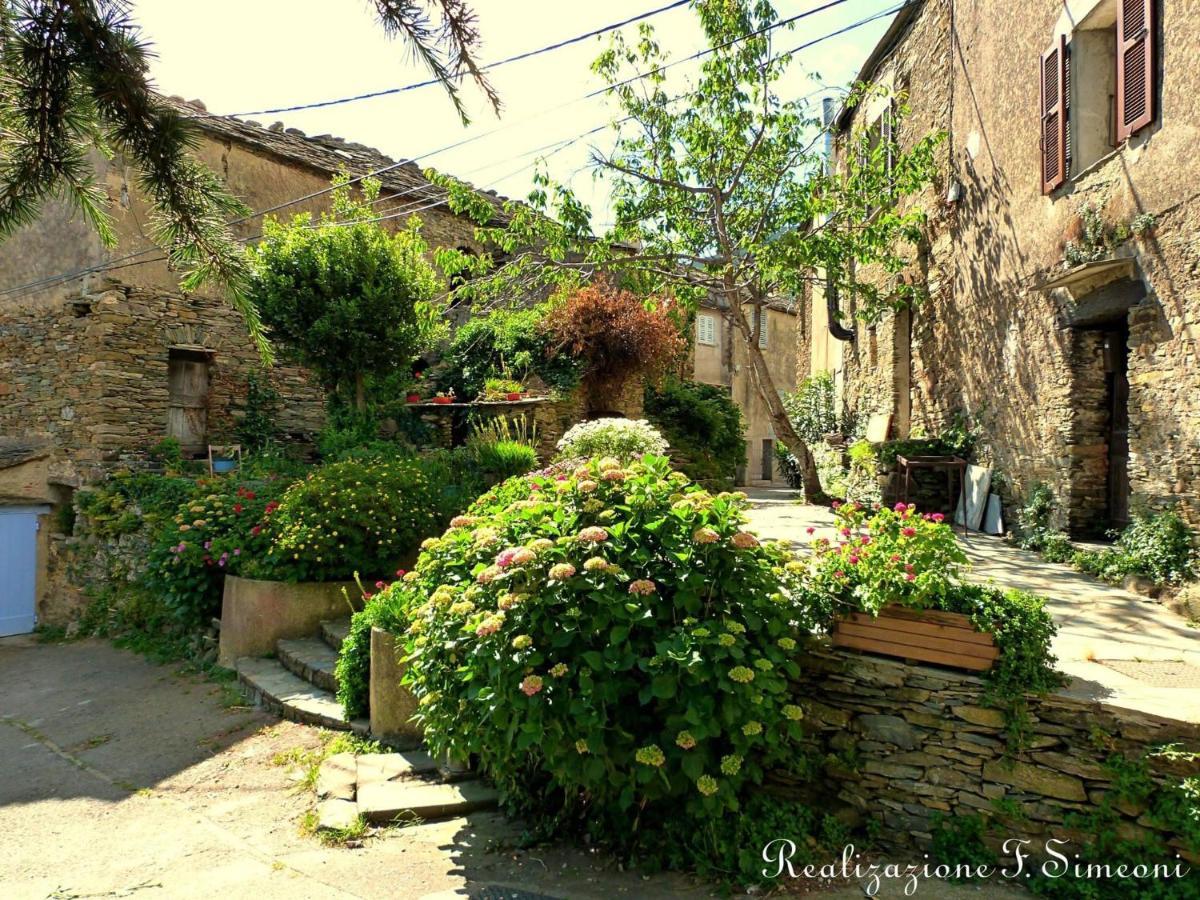 Tres Jolie Maison Aux Portes Du Cap Corse Sisco ภายนอก รูปภาพ