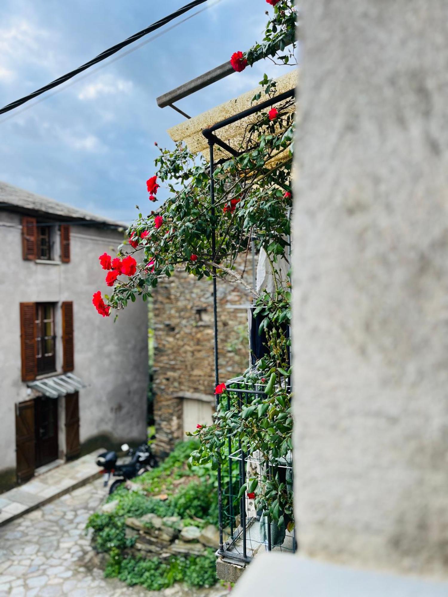 Tres Jolie Maison Aux Portes Du Cap Corse Sisco ภายนอก รูปภาพ